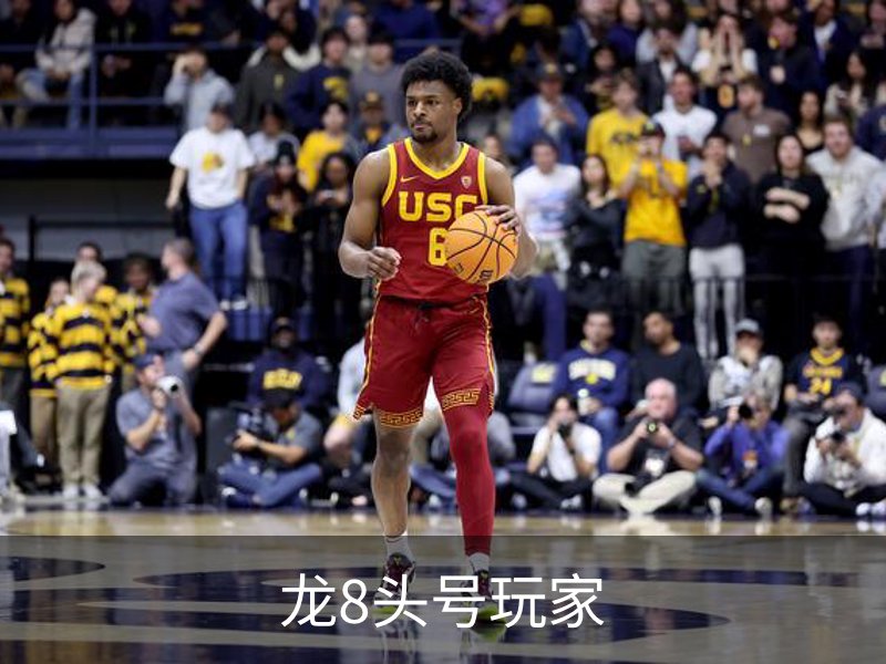 龙8头号玩家介绍